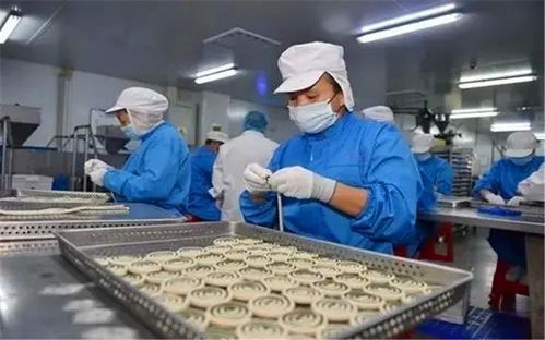 在小縣城投入20萬辦廠 聚焦寵物食品，掘金藍海市場的快車道